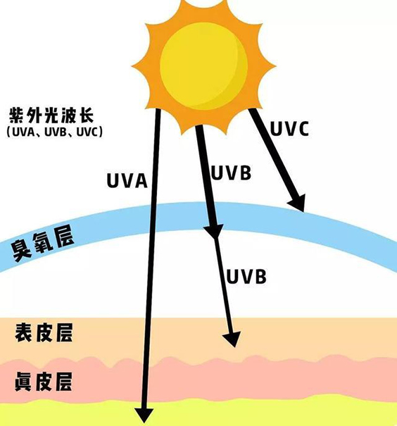 UVC紫外杀菌