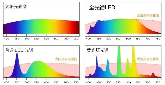 LED教室灯